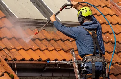 Démoussage et hydrofuge de toiture à Lain